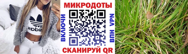 Псилоцибиновые грибы Psilocybe  Купить где  Боровск 